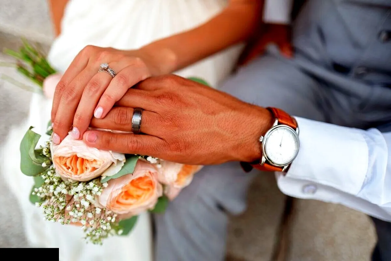 Horse-Drawn Carriage Rides Chicago — Wedding & Event Transport