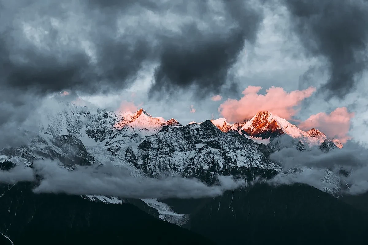 Can You Drink Alcohol in a Limo? Chicago Limo & Party Bus